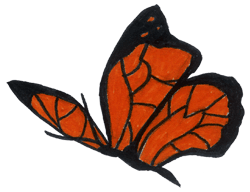 Drawing of a butterfly.