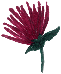 Drawing of violet flower.